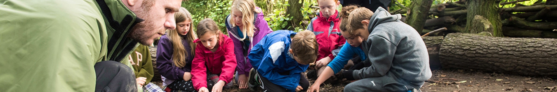 Bushcraft