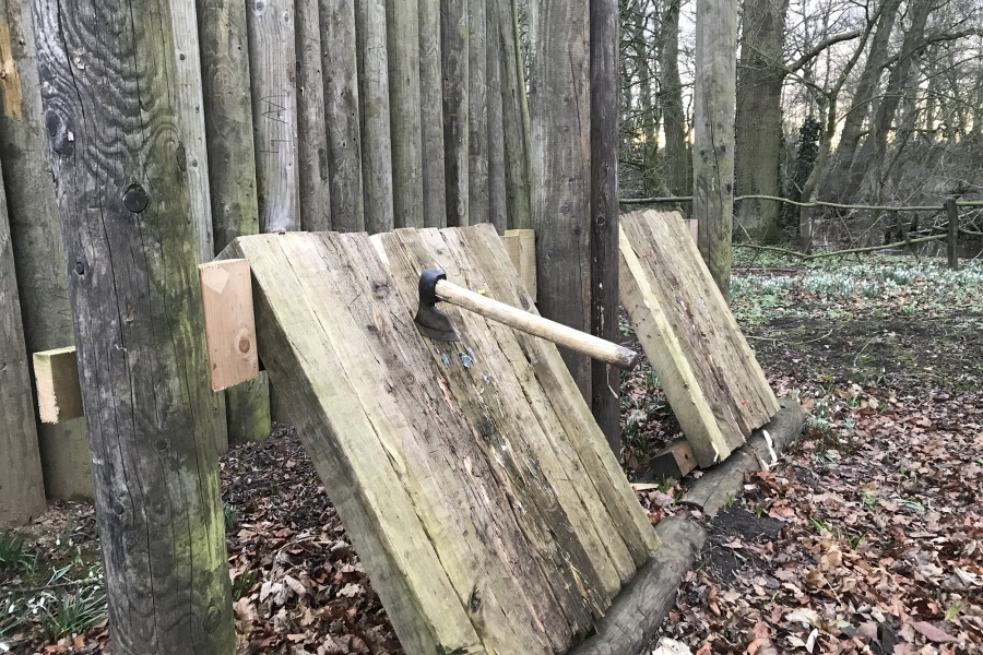Axe Throwing