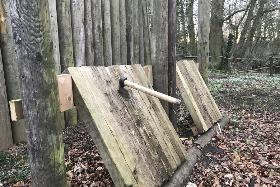 Axe Throwing