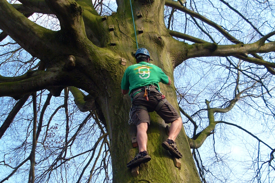 Climbing Tree